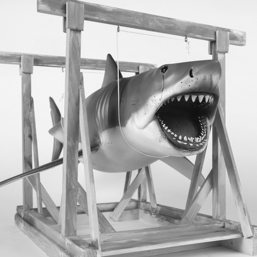 BRUCE 63cm | Wood stand - 